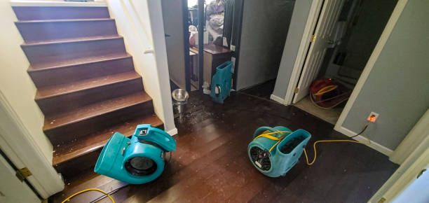 Best Water Damage Assessment and Inspection in USA